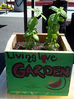 earthbox